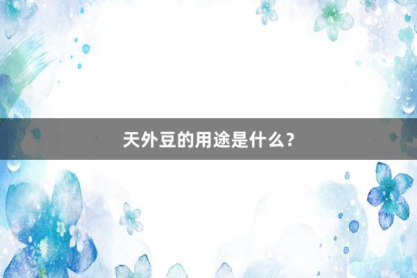 天外豆的用途是什么？